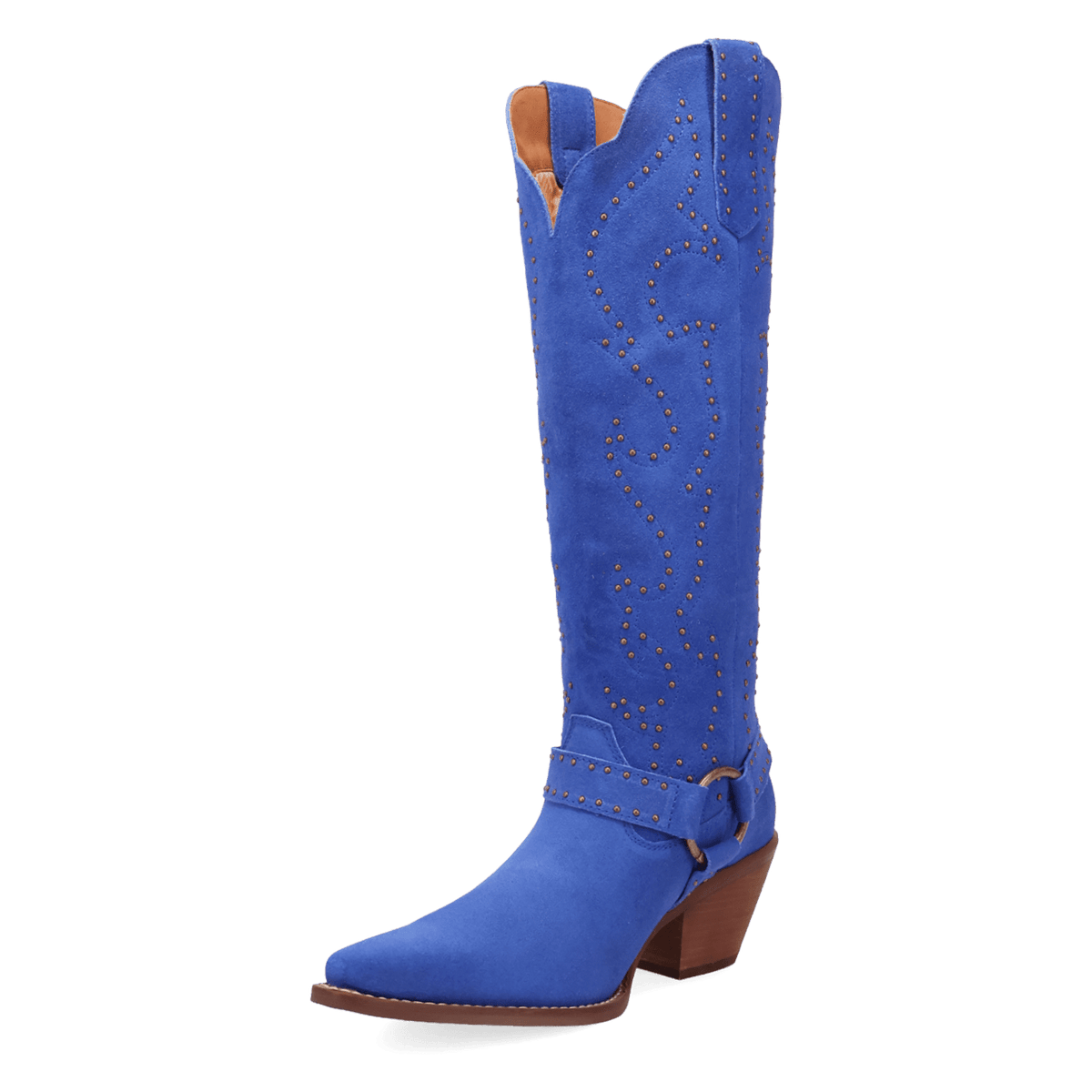 PRODUCT SHOT WICKED LEATHER BOOT AT 225 DEGREE ANGLE