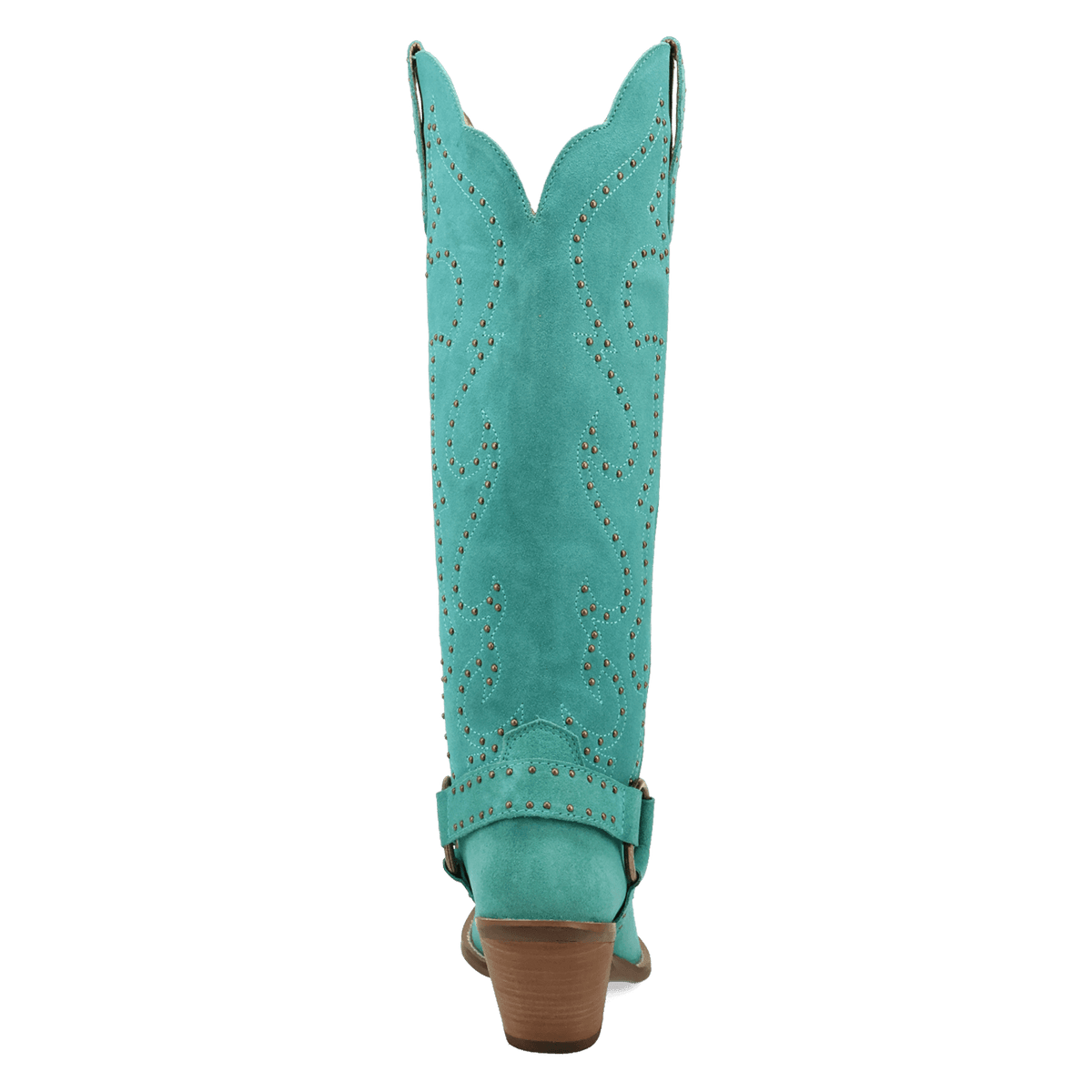 PRODUCT SHOT WICKED LEATHER BOOT AT 180 DEGREE BACK ANGLE