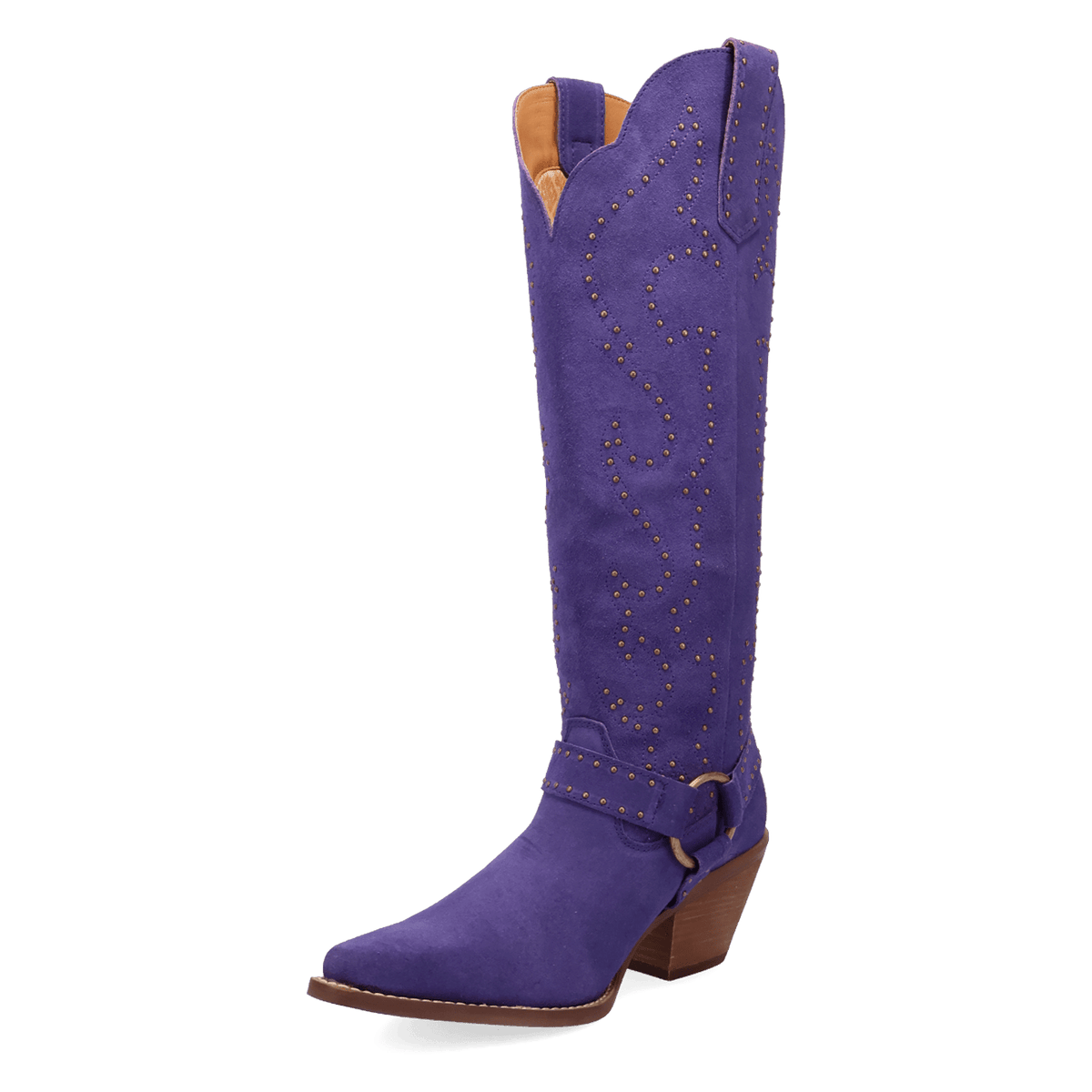 PRODUCT SHOT WICKED LEATHER BOOT AT 225 DEGREE ANGLE