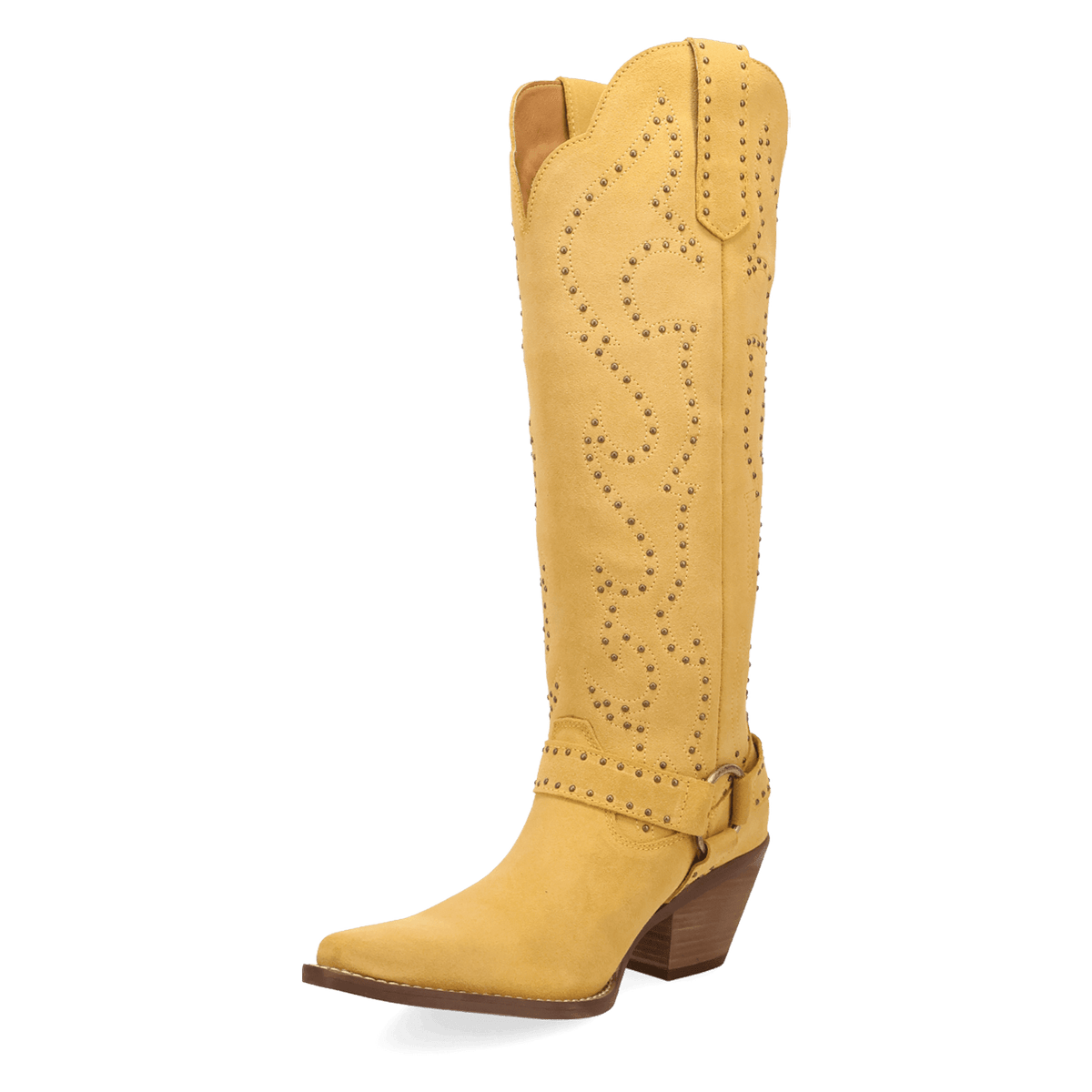 PRODUCT SHOT WICKED LEATHER BOOT AT 225 DEGREE ANGLE