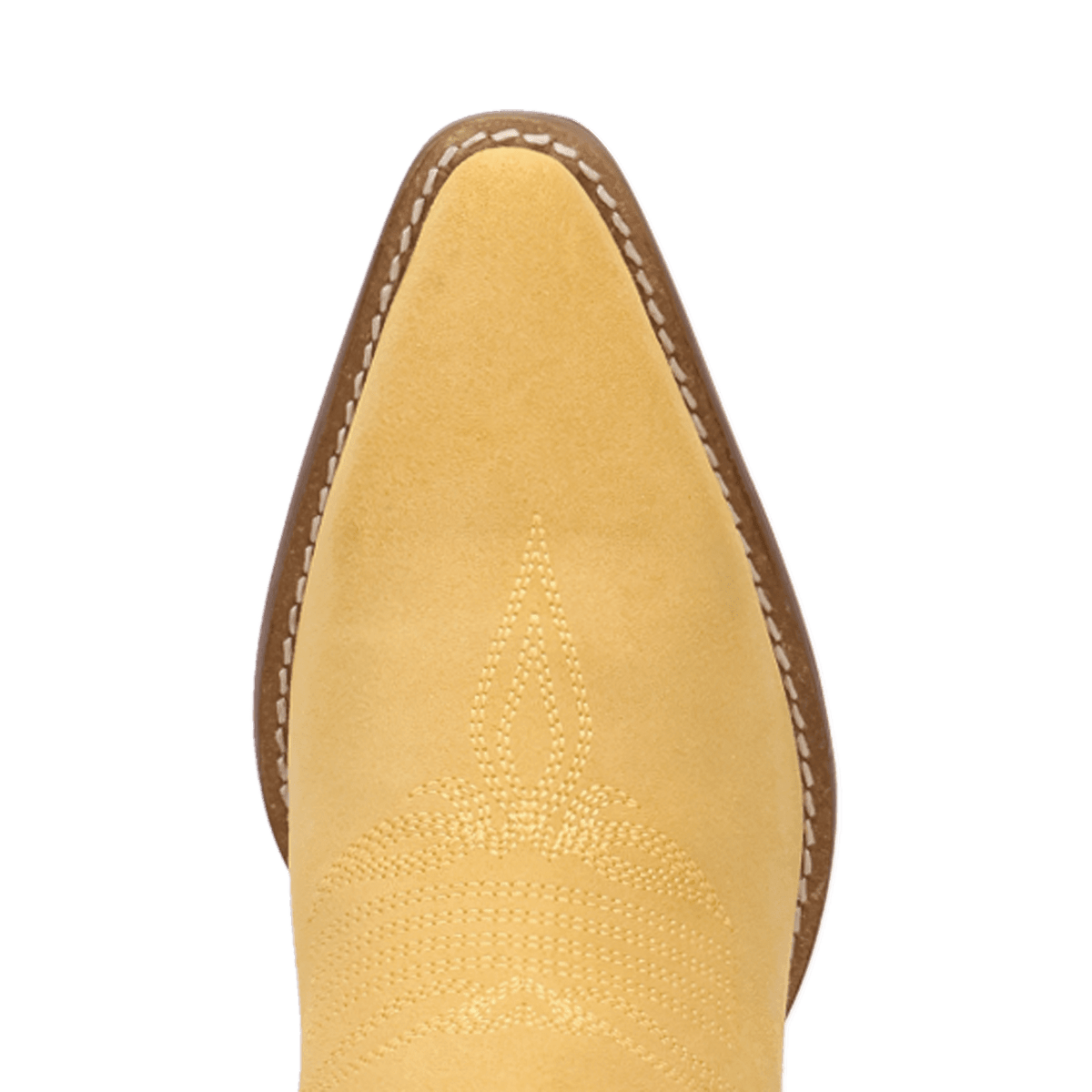 PRODUCT SHOT PALOMA SUEDE LEATHER BOOTIE AT TOE ANGLE