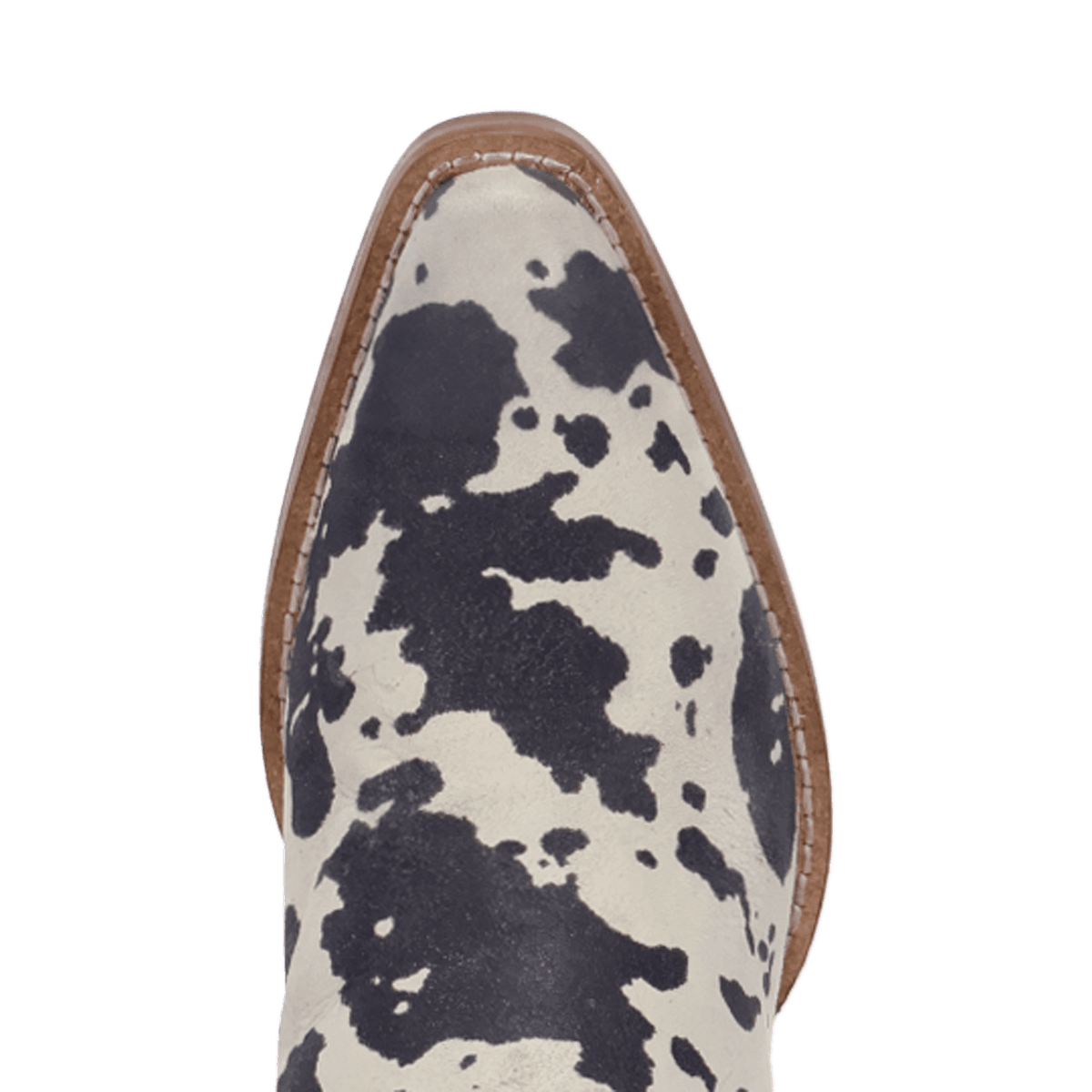 PRODUCT SHOT WILD LIFE LEATHER BOOTIE AT TOE ANGLE
