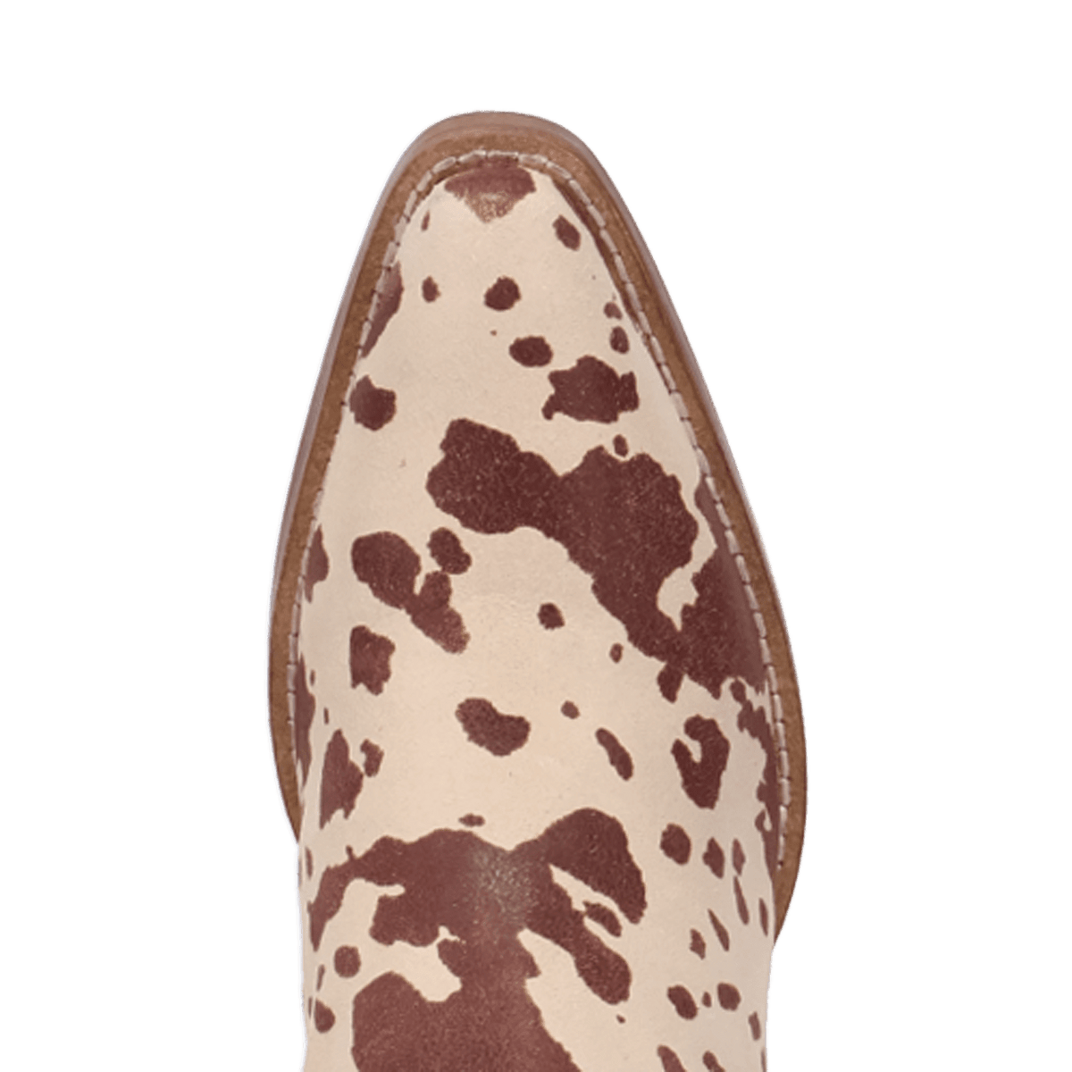 PRODUCT SHOT WILD LIFE LEATHER BOOTIE AT TOE ANGLE