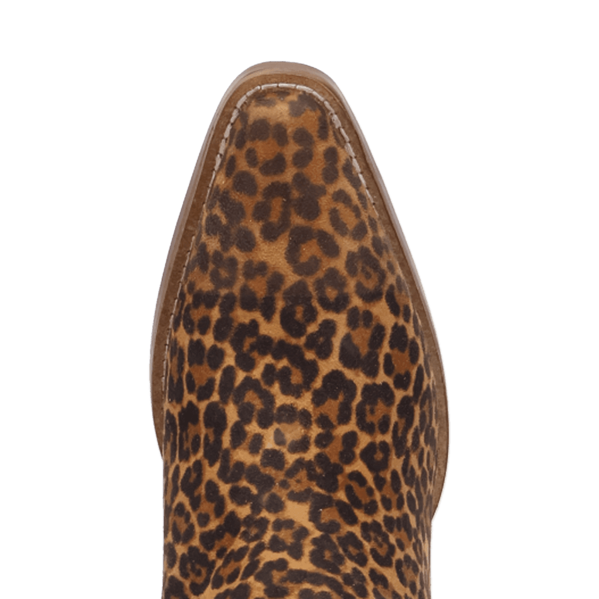 PRODUCT SHOT WILD LIFE LEATHER BOOTIE AT TOE ANGLE