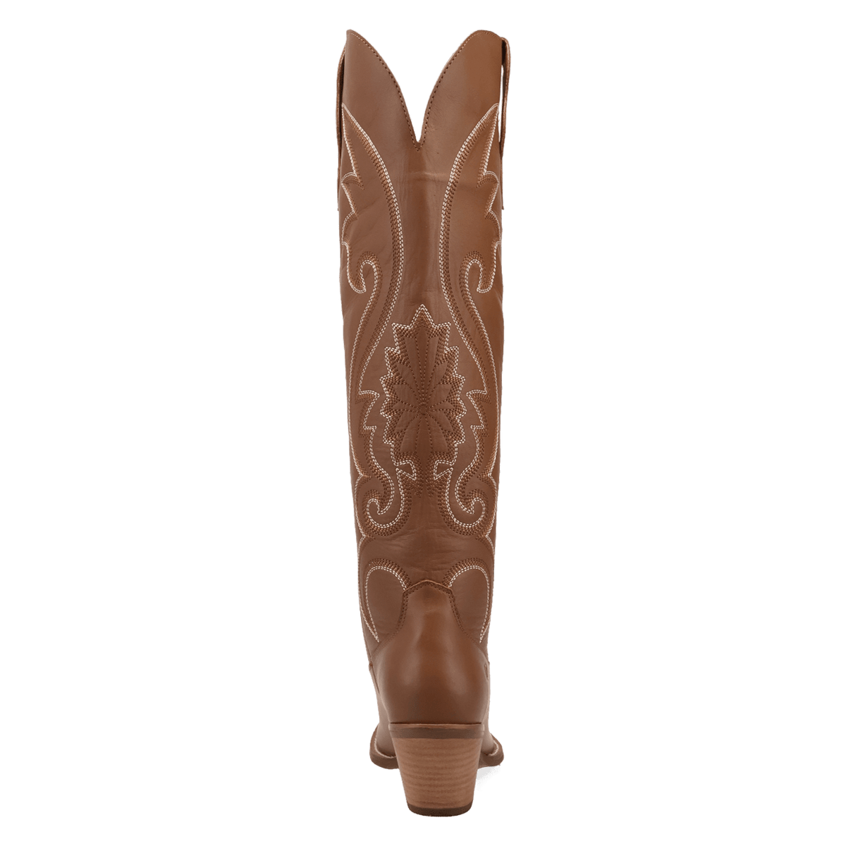 PRODUCT SHOT PEYOTE LEATHER BOOT AT 180 DEGREE BACK ANGLE