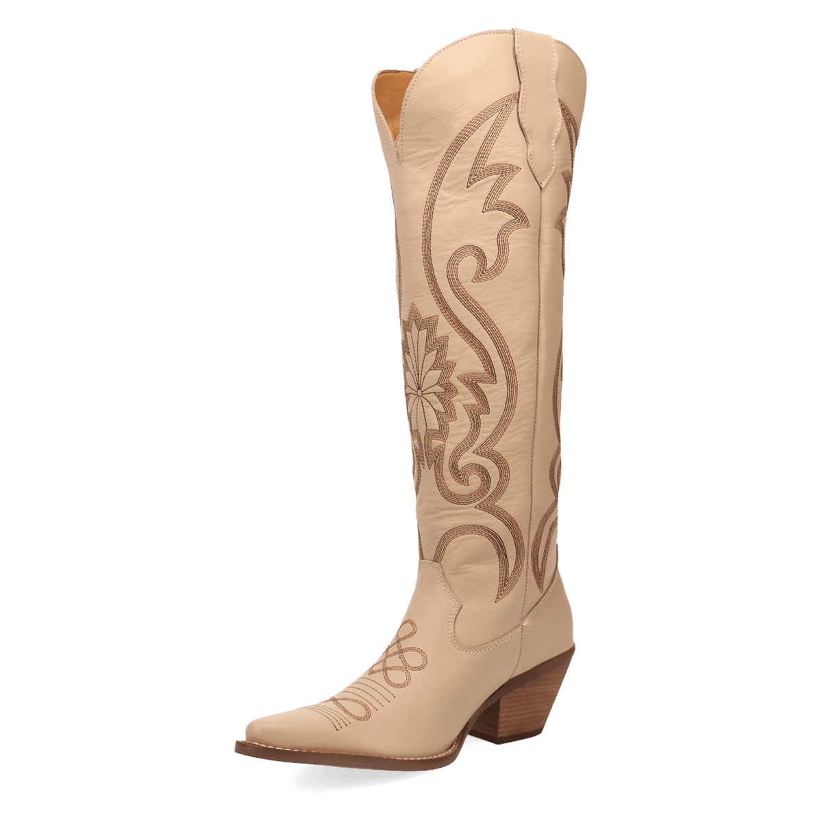 PRODUCT SHOT PEYOTE LEATHER BOOT AT 225 DEGREE ANGLE