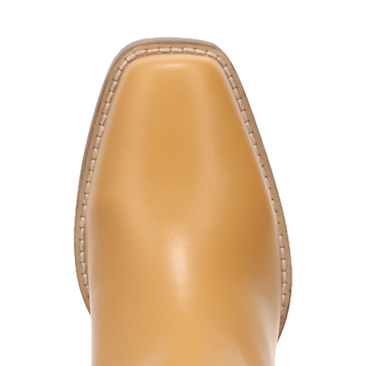 PRODUCT SHOT LEGEND LEATHER BOOT AT TOE ANGLE