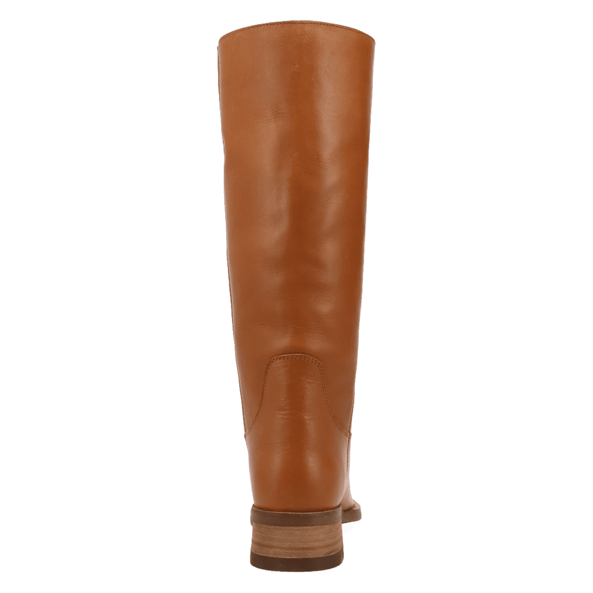PRODUCT SHOT LEGEND LEATHER BOOT AT 180 DEGREE BACK ANGLE