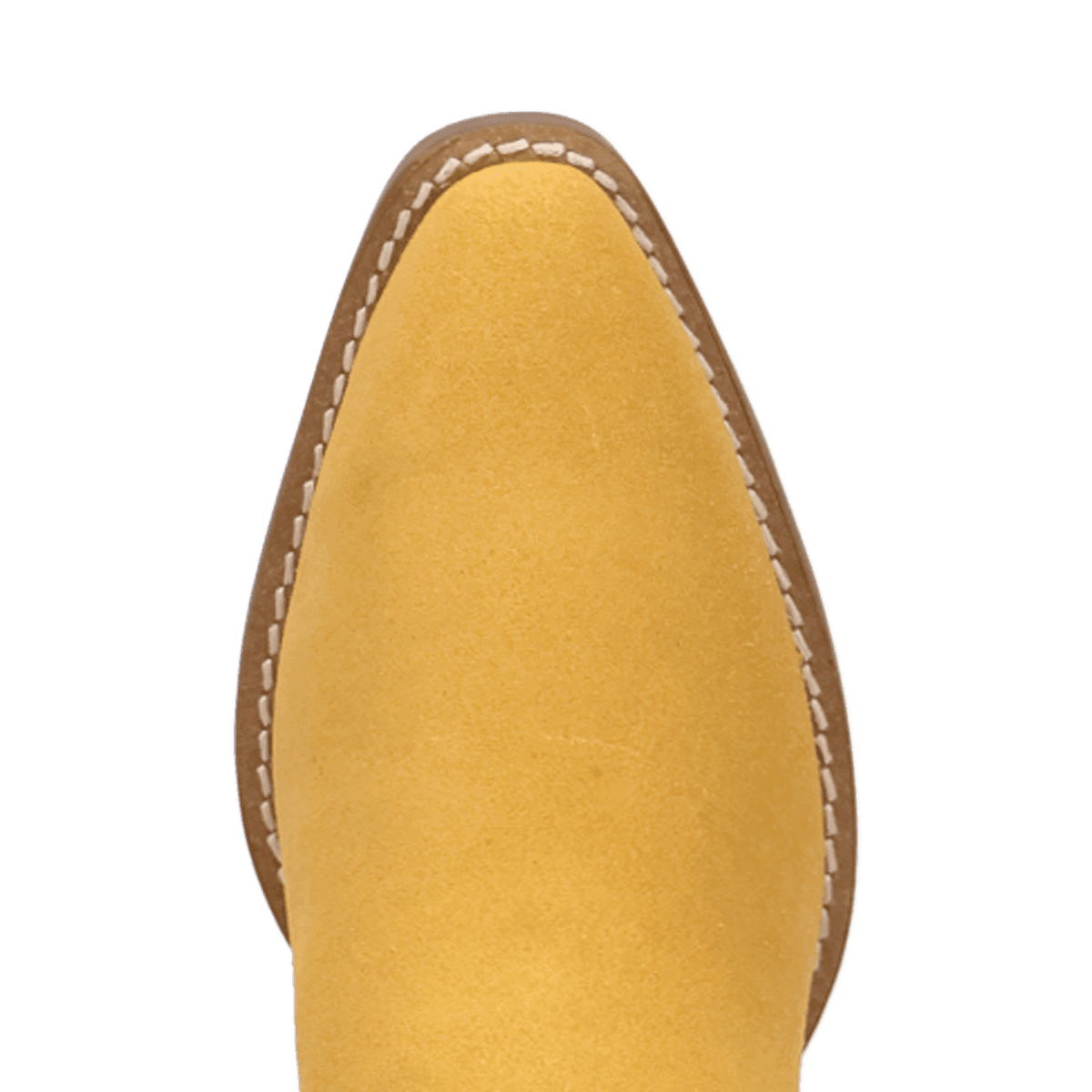 PRODUCT SHOT SUNDANCE SUEDE BOOTIE AT TOE ANGLE